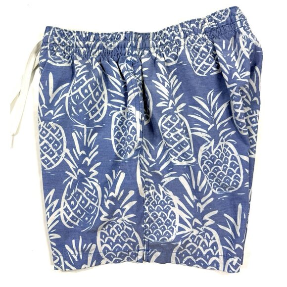 Chubbies The Thigh Napples Swim Trunks Mens Sz Medium 5.5" Mesh Lined Pineapple - Picture 3 of 14